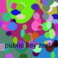 public key zertifikat